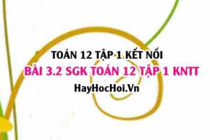 Bài 3.2 SGK Toán 12 tập 1 Kết nối tri thức